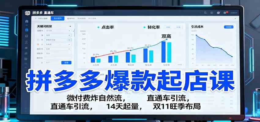 拼多多爆款起店课:微付费炸自然流,直通车引流,14天起量,双11旺季布局-来友网创