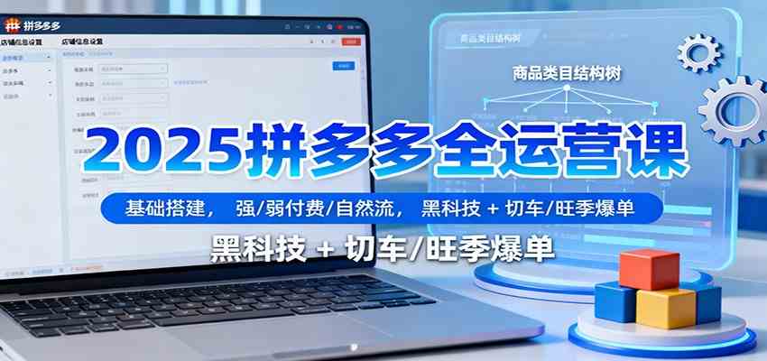 2025拼多多全运营课:基础搭建,强/弱付费/自然流,黑科技 + 切车/旺季爆单-来友网创