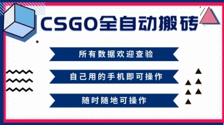 CSGO全自动搬砖,年底钱回家好项目,当天可拿到结果,新手小白轻松月入1W+【揭秘】-来友网创