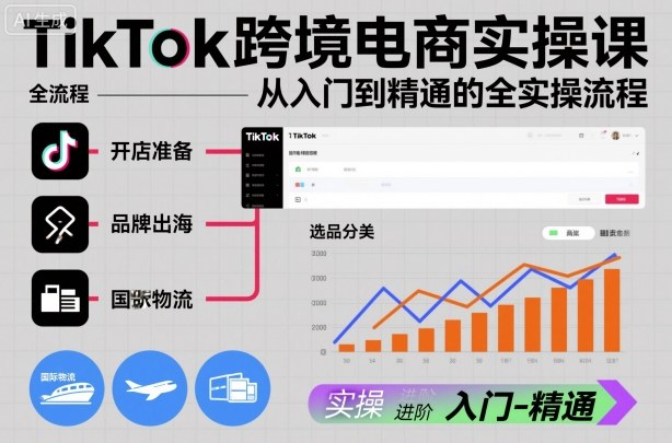 TikTok跨境电商实操课,从入门到精通的全实操流程-来友网创