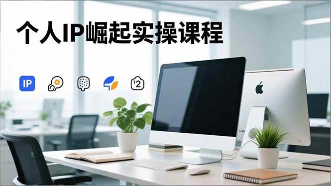 (16616期)个人IP崛起实操课程,IP思维塑造+赛道精准调研+账号高变现搭建+内容创作-来友网创
