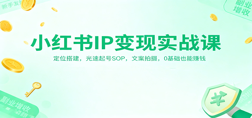 小红书IP变现实战课:定位搭建,光速起号SOP,文案拍摄,0基础也能赚钱-来友网创