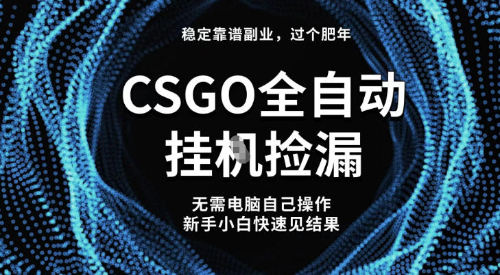 【稳定副业】全球最热门游戏CSGO全自动捡漏,最新玩法,新手小白日入5张+【揭秘】-来友网创