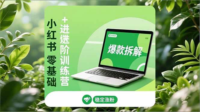 (16801期)小红书零基础+高阶训练营:安全养号、爆款拆解、长效运营,实现稳定涨粉与变现-来友网创
