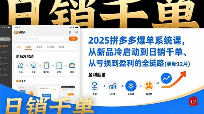 (16894期)2025拼多多爆单系统课,从新品冷启动到日销千单、从亏损到盈利的全链路(更新12月)-来友网创