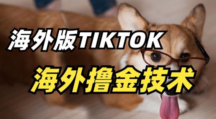 抖音海外版tiktok撸金技术，这个风口行业，赚钱真的不难【揭秘】-来友网创