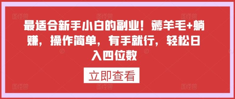 最适合新手小白的副业！薅羊毛+躺赚，操作简单，有手就行，轻松日入四位数【揭秘】-来友网创