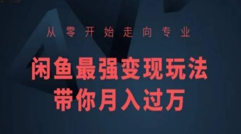 从零开始走向专业，闲鱼最强变现玩法带你月入过万-来友网创