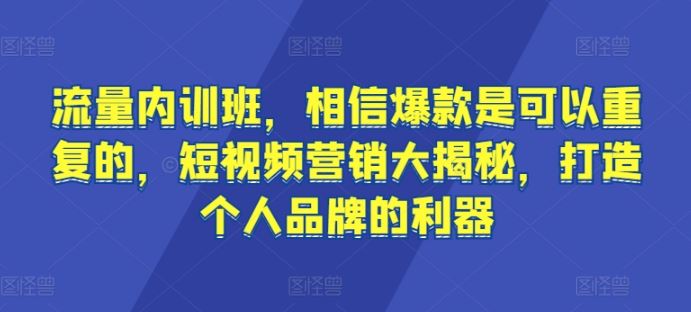 流量内训班，相信爆款是可以重复的，短视频营销大揭秘，打造个人品牌的利器-来友网创