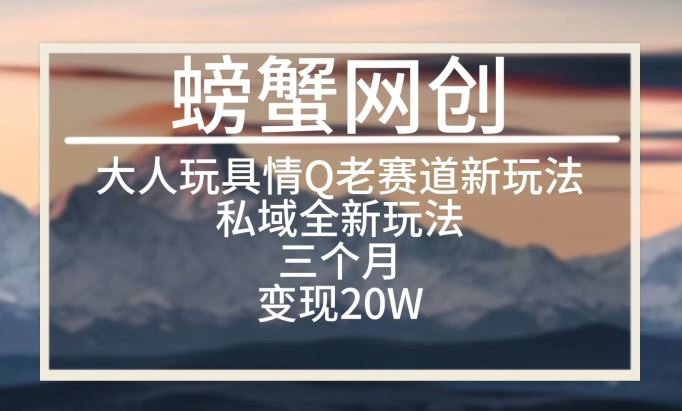 大人玩具情Q用品赛道私域全新玩法，三个月变现20W，老项目新思路【揭秘】-来友网创