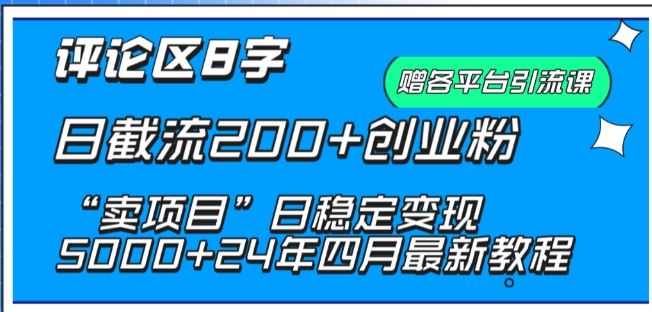 抖音评论区8字日截流200+创业粉 “卖项目”日稳定变现5000+【揭秘】-来友网创