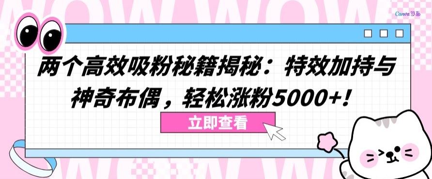 两个高效吸粉秘籍揭秘：特效加持与神奇布偶，轻松涨粉5000+【揭秘】-来友网创