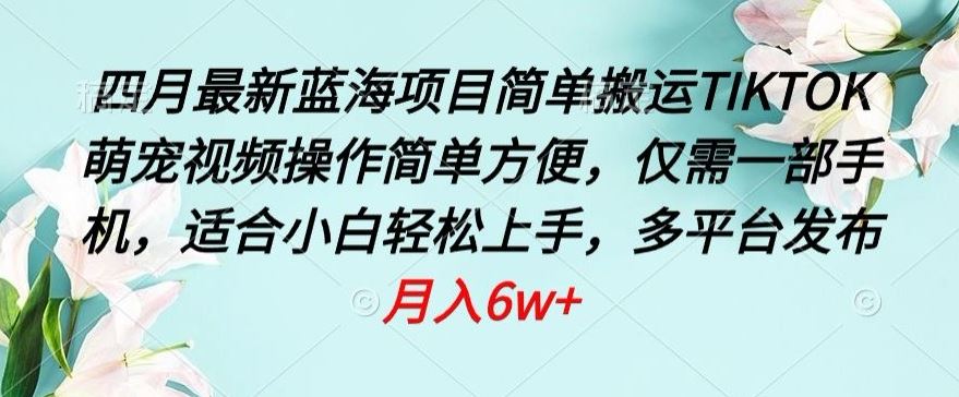 四月最新蓝海项目，简单搬运TIKTOK萌宠视频，操作简单方便，仅需一部手机【揭秘】-来友网创