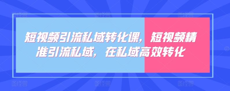 短视频引流私域转化课，短视频精准引流私域，在私域高效转化-来友网创