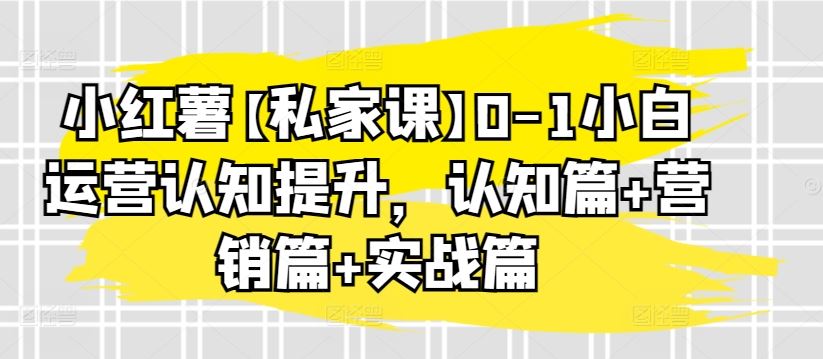 小红薯【私家课】0-1小白运营认知提升，认知篇+营销篇+实战篇-来友网创