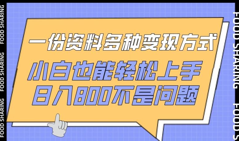 一份资料多种变现方式，小白也能轻松上手，日入800不是问题【揭秘】-来友网创