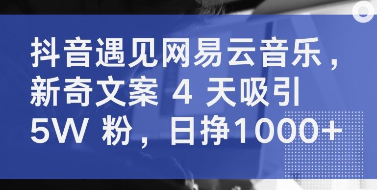 抖音遇见网易云音乐，新奇文案 4 天吸引 5W 粉，日挣1000+【揭秘】-来友网创