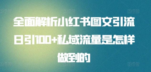 全面解析小红书图文引流日引100+私域流量是怎样做到的【揭秘】-来友网创