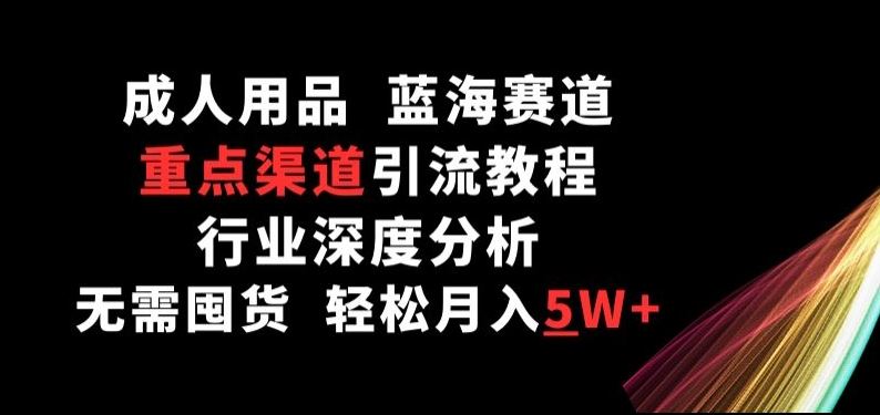 成人用品，蓝海赛道，重点渠道引流教程，行业深度分析，无需囤货，轻松月入5W+【揭秘】-来友网创