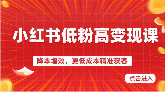 小红书低粉高变现课-降本增效，更低成本精准获客，小红书必爆的流量密码-来友网创