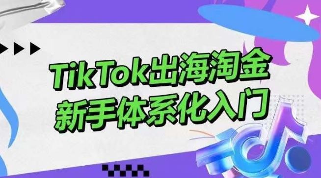 TikTok出海淘金，新手体系化入门，零基础快速入门，掌握短视频、直播带货等引流到变现的知识-来友网创