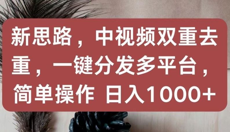 新思路，中视频双重去重，一键分发多平台，简单操作，日入1000+【揭秘】-来友网创