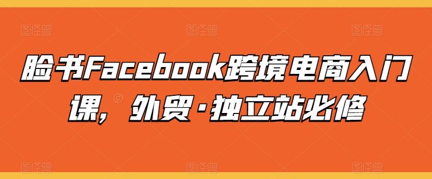 脸书Facebook跨境电商入门课，外贸·独立站必修-来友网创