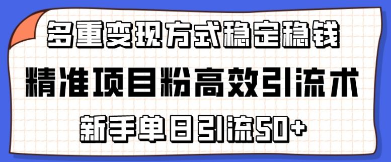 精准项目粉高效引流术，新手单日引流50+，多重变现方式稳定赚钱【揭秘】-来友网创