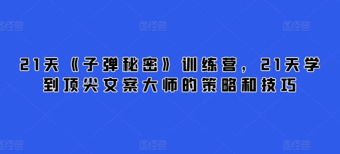 21天《子弹秘密》训练营，21天学到顶尖文案大师的策略和技巧-来友网创