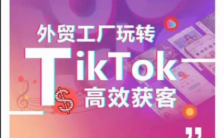 外贸工厂玩转TikTok高效获客，多种引流方式与账号定位技巧，拆解爆款短视频打造成功案例-来友网创