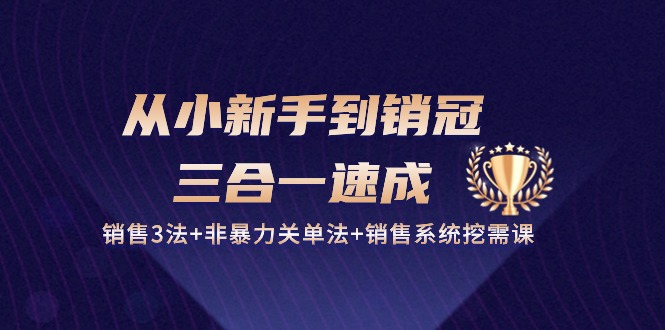 从小新手到销冠三合一速成：销售3法+非暴力关单法+销售系统挖需课 (27节)-来友网创