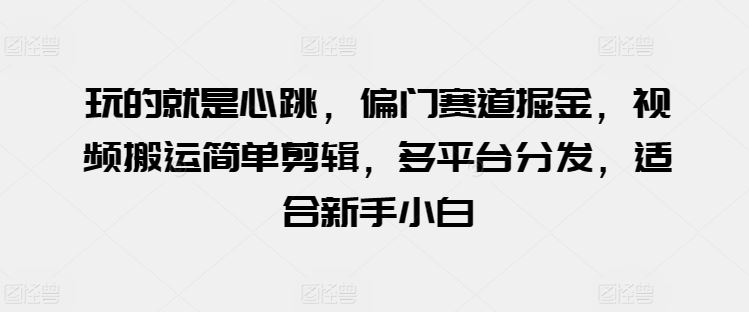 玩的就是心跳，偏门赛道掘金，视频搬运简单剪辑，多平台分发，适合新手小白【揭秘】-来友网创