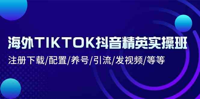 海外TIKTOK抖音精英实操班：注册下载/配置/养号/引流/发视频/等等-来友网创