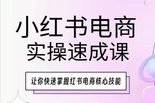 小红书电商实操速成课，让你快速掌握红书电商核心技能-来友网创