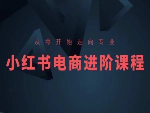 从零开始走向专业，小红书电商进阶课程-来友网创