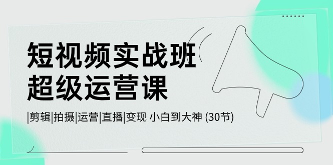 短视频实战班超级运营课 |剪辑|拍摄|运营|直播|变现 小白到大神 (30节)-来友网创