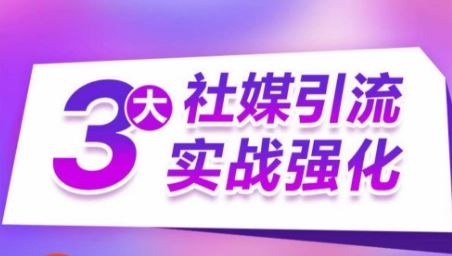 3大社媒引流实战强化，多渠道站外引流，高效精准获客，订单销售额翻倍增长-来友网创