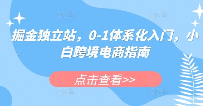 掘金独立站，0-1体系化入门，小白跨境电商指南-来友网创