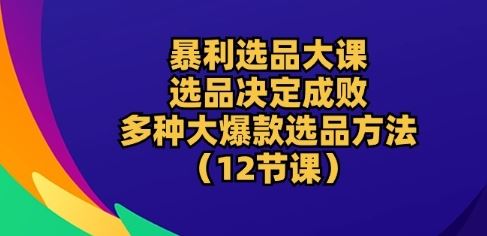 暴利选品大课：选品决定成败，教你多种大爆款选品方法(12节课)-来友网创