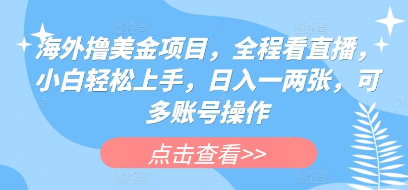 海外撸美金项目，全程看直播，小白轻松上手，日入一两张，可多账号操作【揭秘】-来友网创