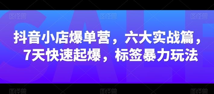 抖音小店爆单营，六大实战篇，7天快速起爆，标签暴力玩法-来友网创