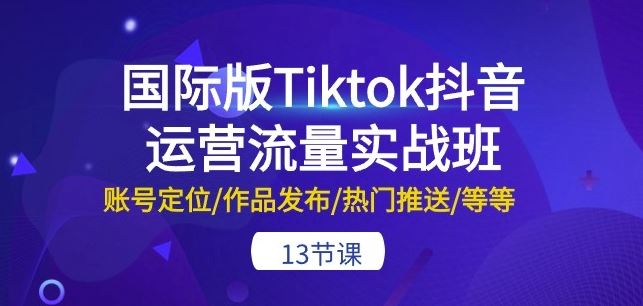 国际版Tiktok抖音运营流量实战班：账号定位/作品发布/热门推送/等等-13节-来友网创