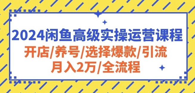 2024闲鱼高级实操运营课程：开店/养号/选择爆款/引流/月入2万/全流程-来友网创