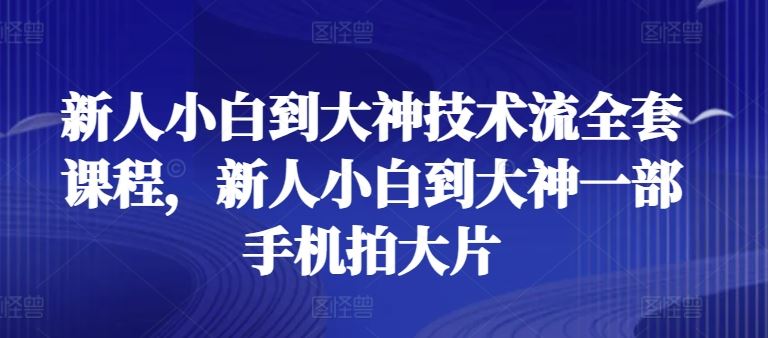 新人小白到大神技术流全套课程，新人小白到大神一部手机拍大片-来友网创