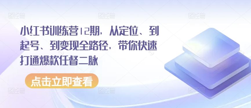 小红书训练营12期，从定位、到起号、到变现全路径，带你快速打通爆款任督二脉-来友网创