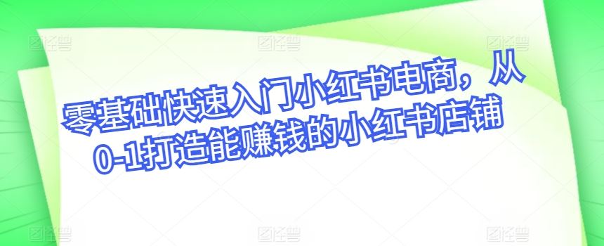 零基础快速入门小红书电商，从0-1打造能赚钱的小红书店铺-来友网创