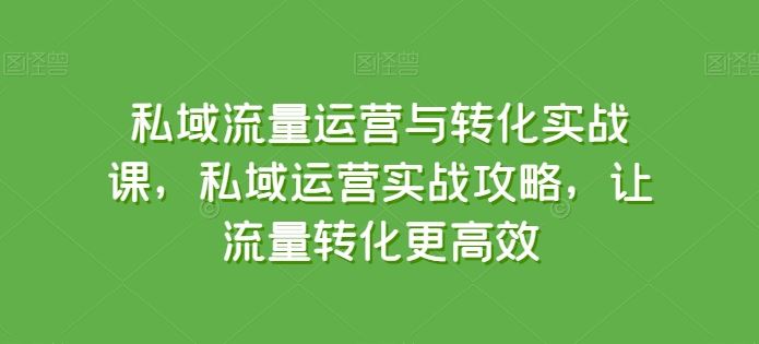 私域流量运营与转化实战课，私域运营实战攻略，让流量转化更高效-来友网创