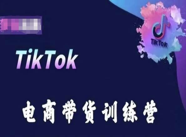 TikTok电商带货训练营，跟随时代潮流，跨境掘金-来友网创