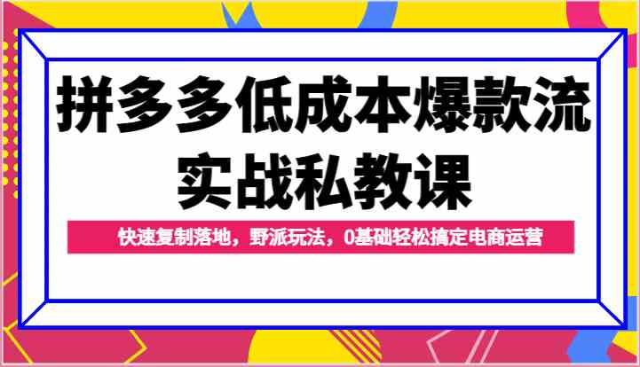 拼多多低成本爆款流实战私教课，快速复制落地，野派玩法，0基础轻松搞定电商运营-来友网创