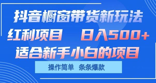 抖音橱窗带货新玩法，单日收益几张，操作简单，条条爆款【揭秘】-来友网创